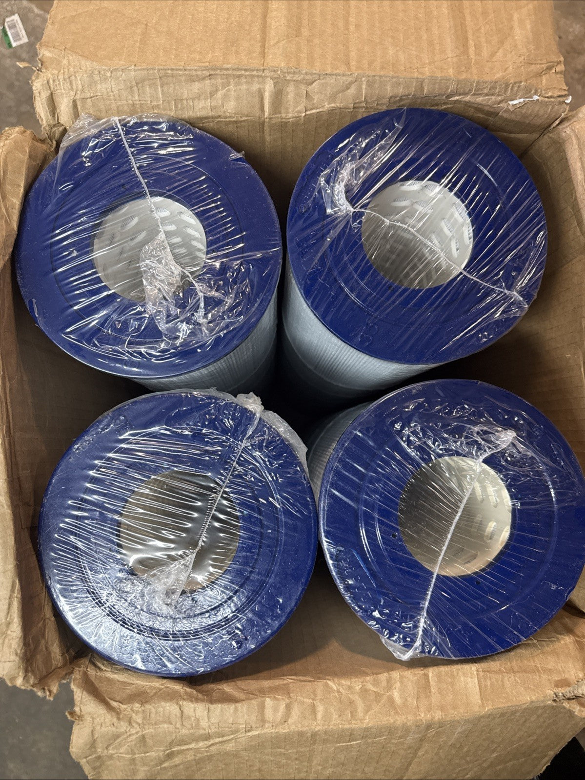 7" Dia Pentair Clean and Clear Plus R173578 125 sq. ft. Replacement Filter 4PACK