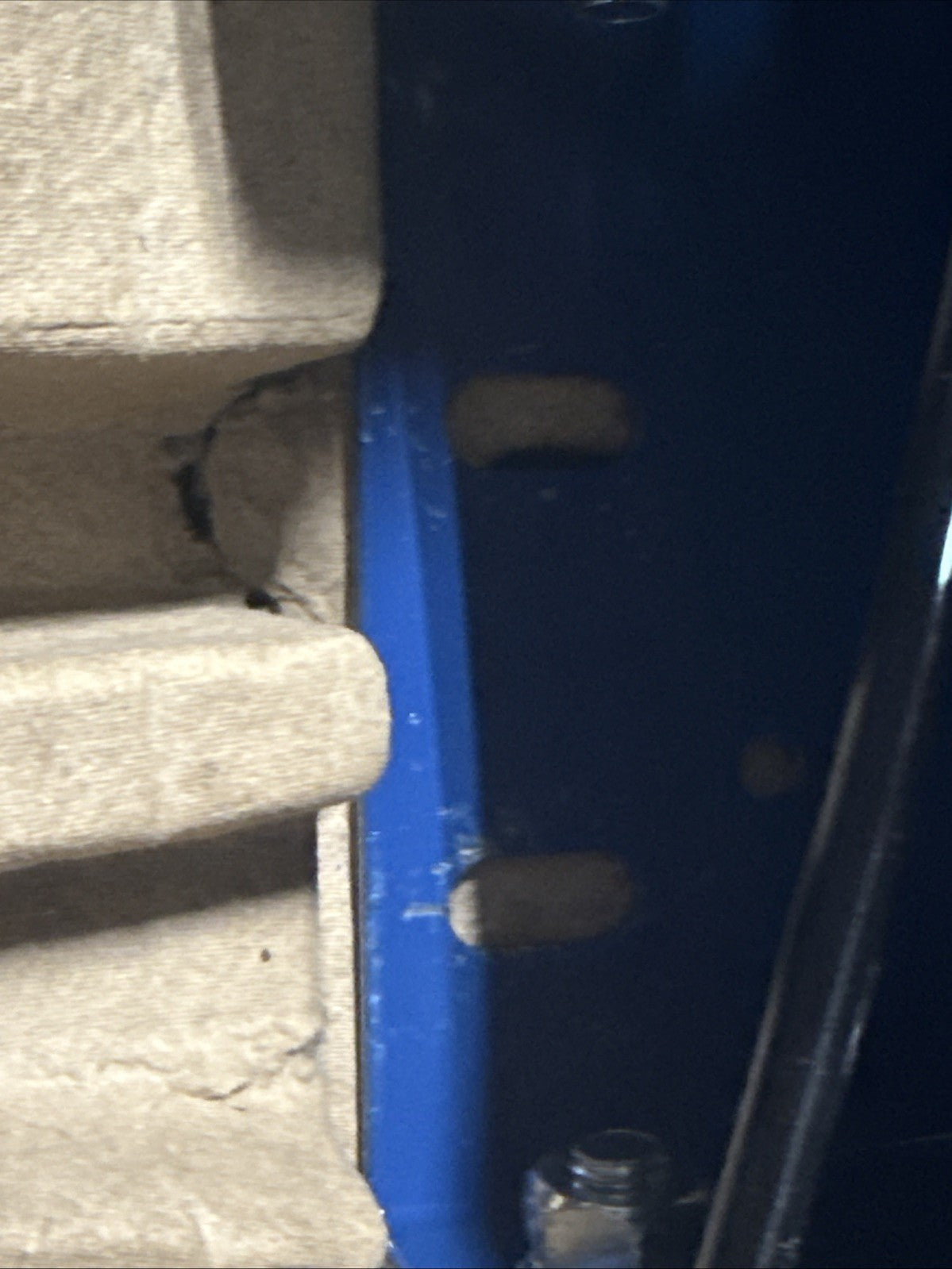 Everbilt 1 HP Professional Convertible Jet Pump