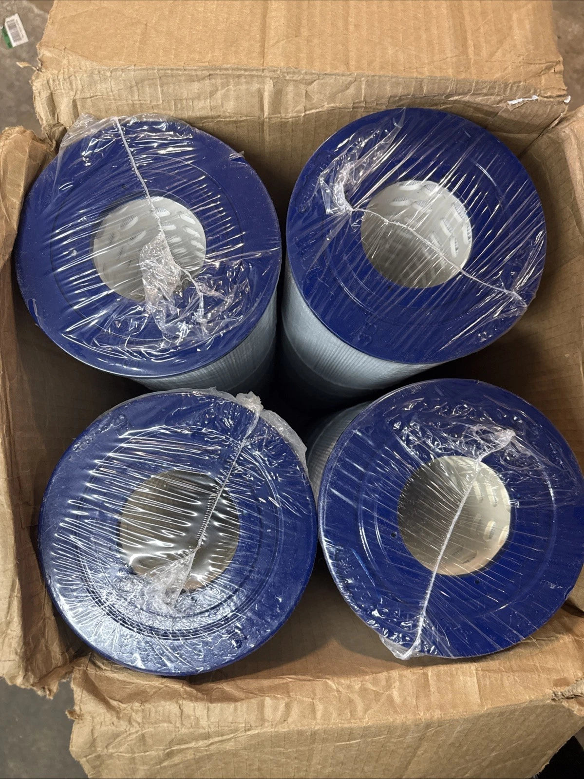 7" Dia Pentair Clean and Clear Plus R173578 125 sq. ft. Replacement Filter 4PACK