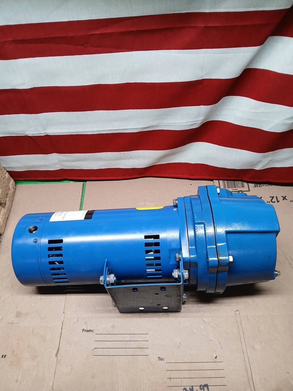 Everbilt Professional Irrigation Pump Cast Iron 2 HP Dual Voltage, READ DESC