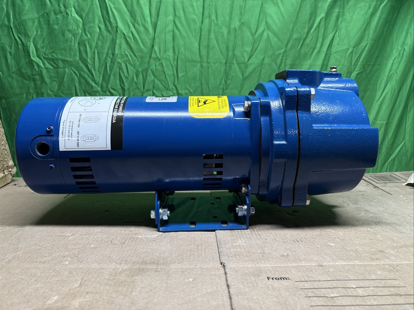 Everbilt Professional Irrigation Pump Cast Iron 2 HP Dual Voltage, HDLS20 PARTS