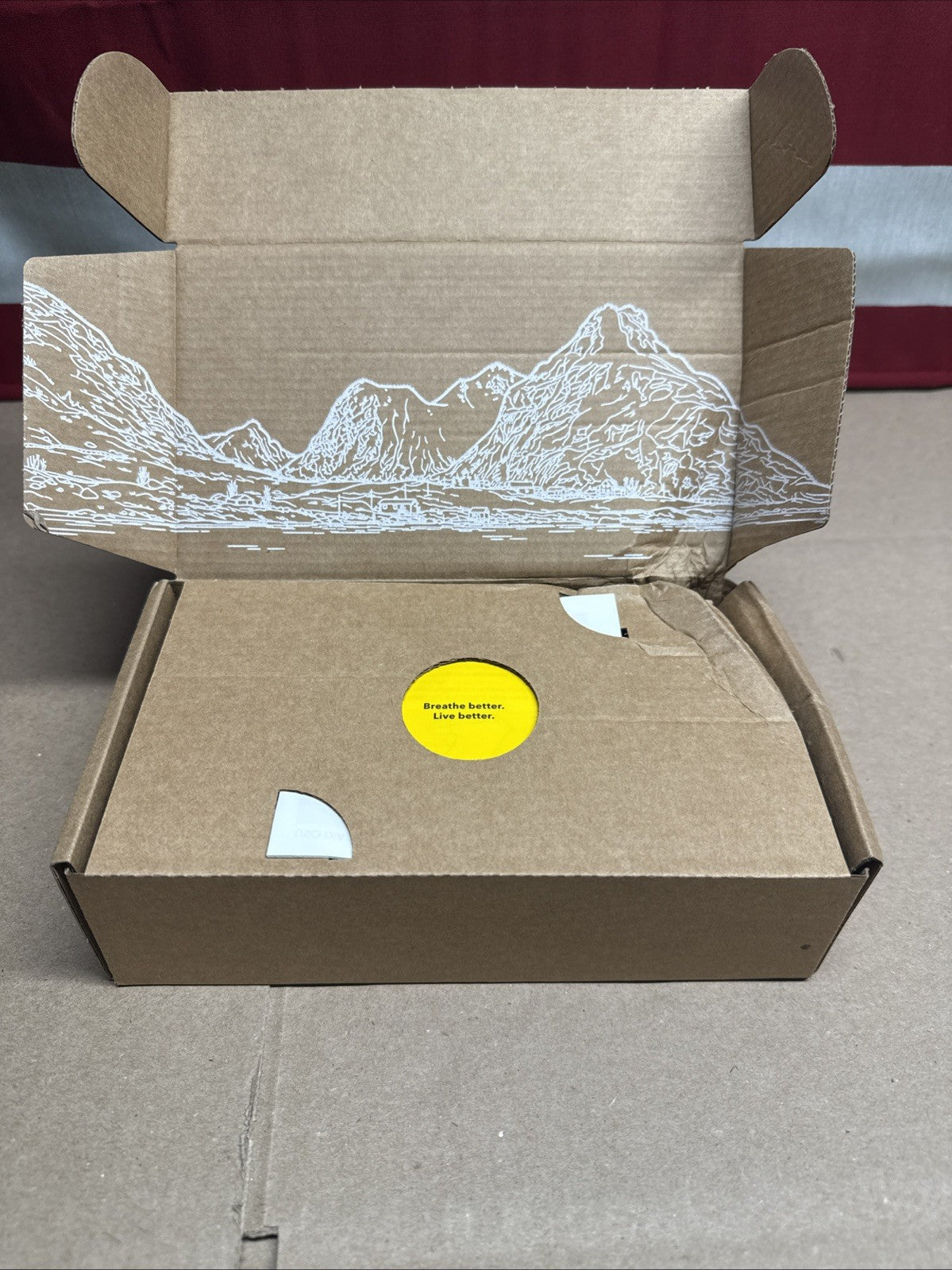 NEW Airthings 2960 View Plus Radon & Air Quality Monitor Wi-Fi Battery READ