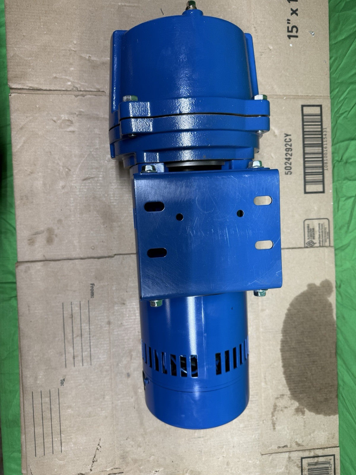 Everbilt Professional Irrigation Pump Cast Iron 2 HP Dual Voltage, HDLS20