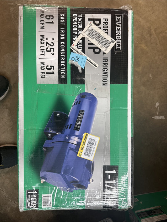 Everbilt 1-1/2 HP Cast Iron Lawn Irrigation Pump HDLS15 Used Or For Parts*
