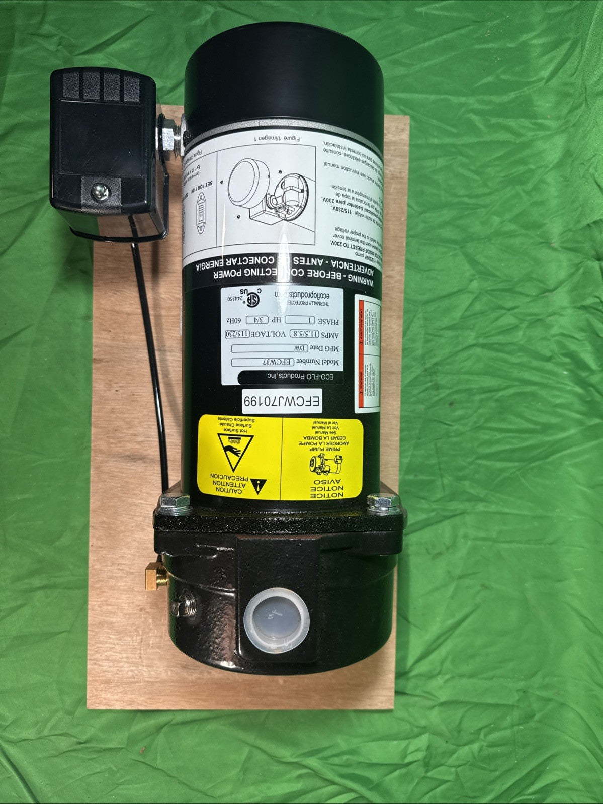 Eco-Flo 3/4 HP Convertible Deep Well Jet Pump  Cast Iron