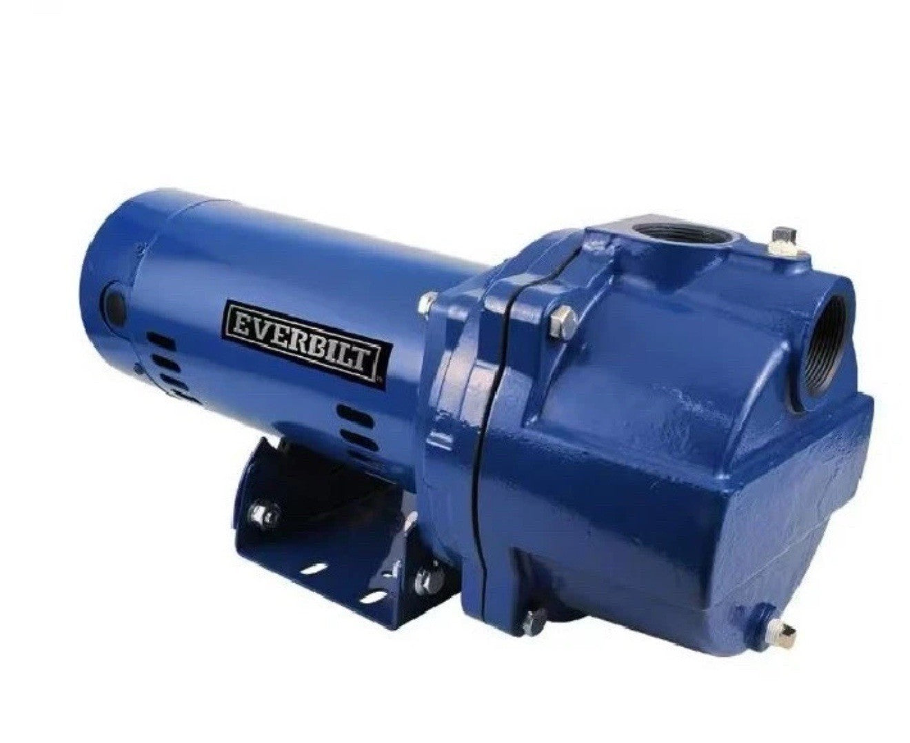 Everbilt Professional Irrigation Pump Cast Iron 2 HP Dual Voltage, HDLS20