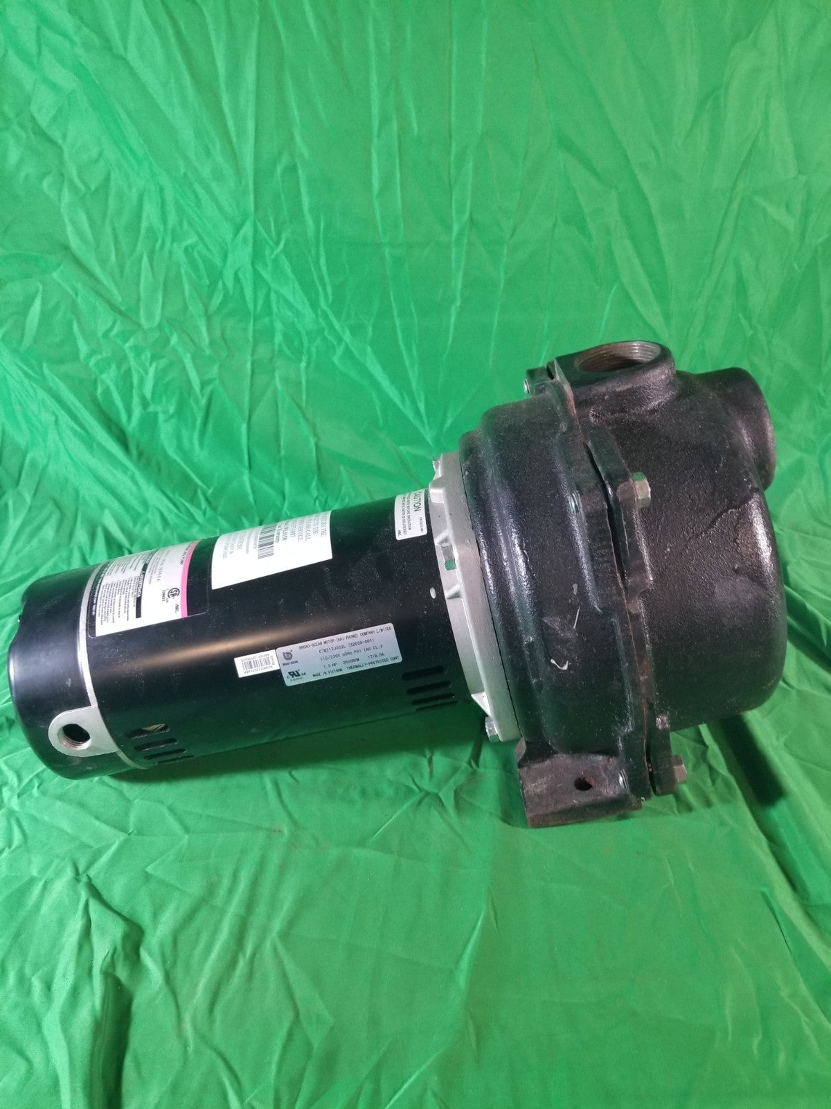 Wayne 1-1/2 HP Cast Iron Quick-Prime Lawn-Sprinkler Pump.