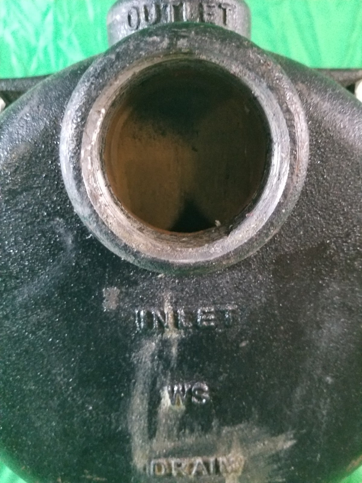 Wayne 1-1/2 HP Cast Iron Quick-Prime Lawn-Sprinkler Pump.