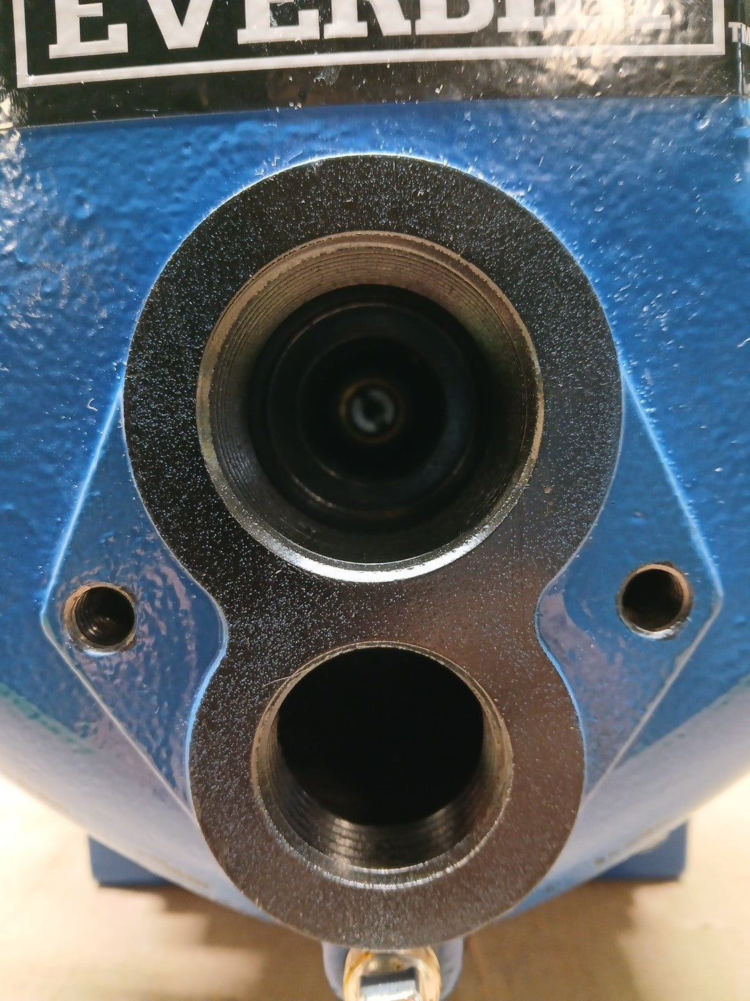 Everbilt 1 HP Professional Convertible Jet Pump NEW OPEN BOX