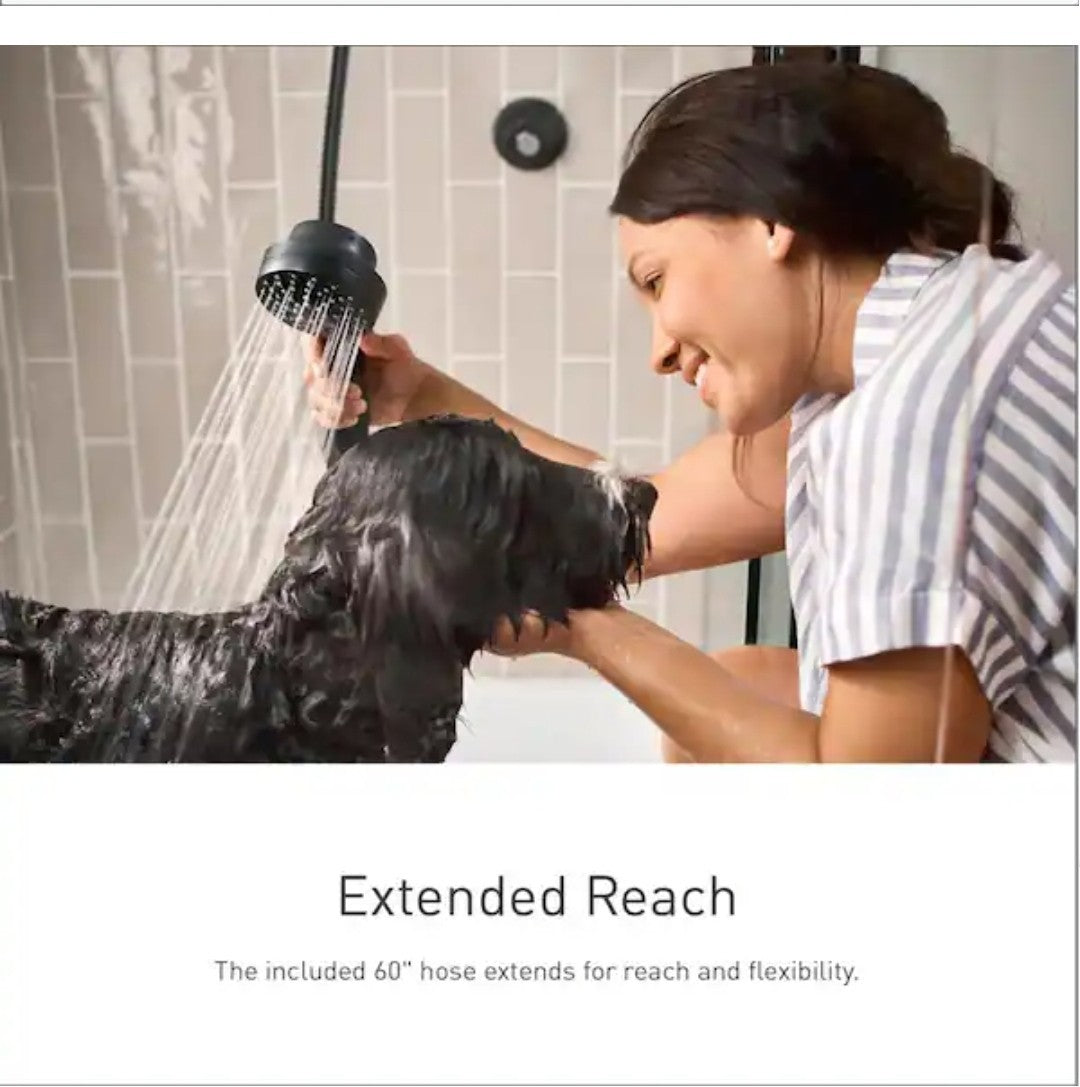 Moen 26000 Attract w/Magnetix 6-Spray 3.75in. Handheld Adjustable Showerhead