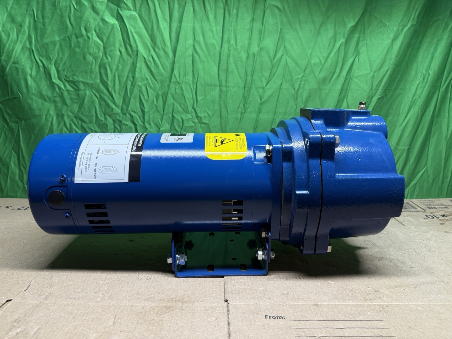 Everbilt Professional Irrigation Pump Cast Iron 2 HP Dual Voltage, HDLS20