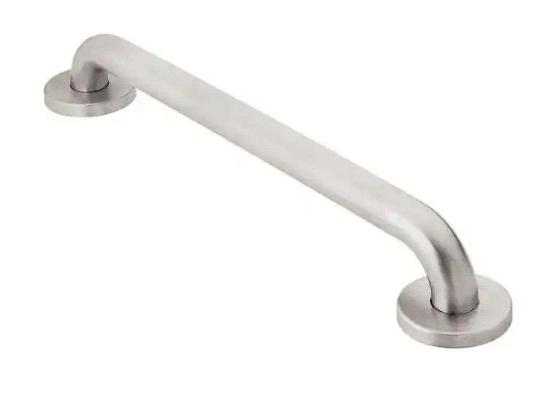 MOEN Home Care 12" Peened Concealed Screw Grab Bar Stainless Steel R8712P NEW