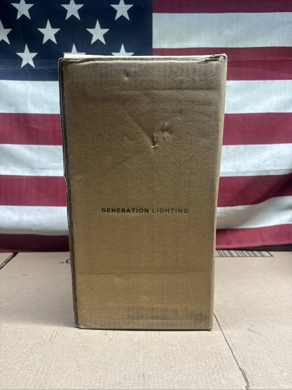 Sea Gull Lighting 8560701-12 Flood Light Outdoor Wall Light Black SCONCE 12.25"