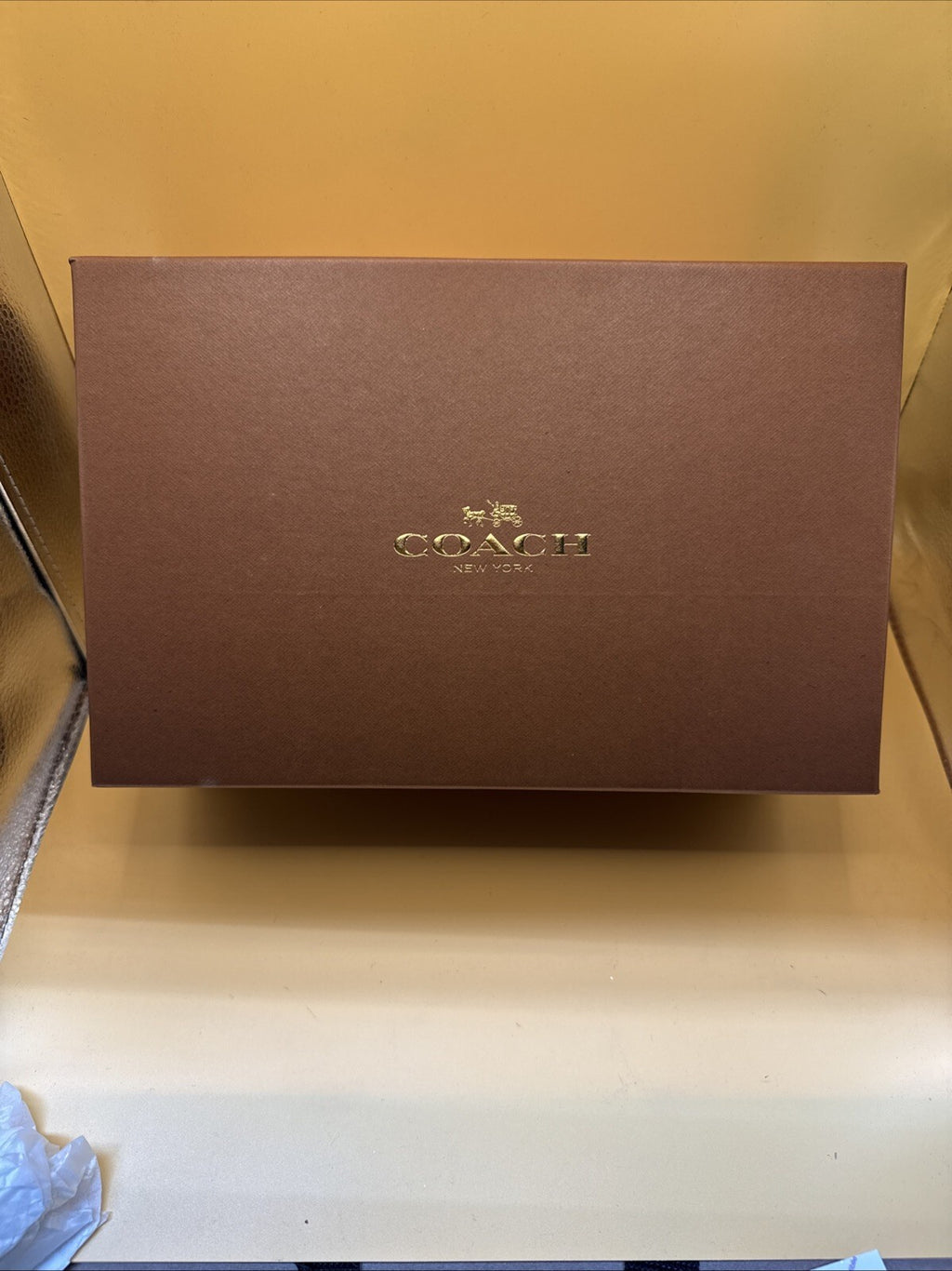 Coach New York Ingrid Natural Snake Print Sandals Size 7M Women's New With Box!