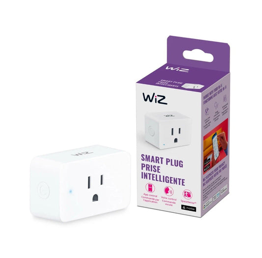 WiZ Smart Plug, Sunset to Sunrise Automation, Motion Detection, Control with ...
