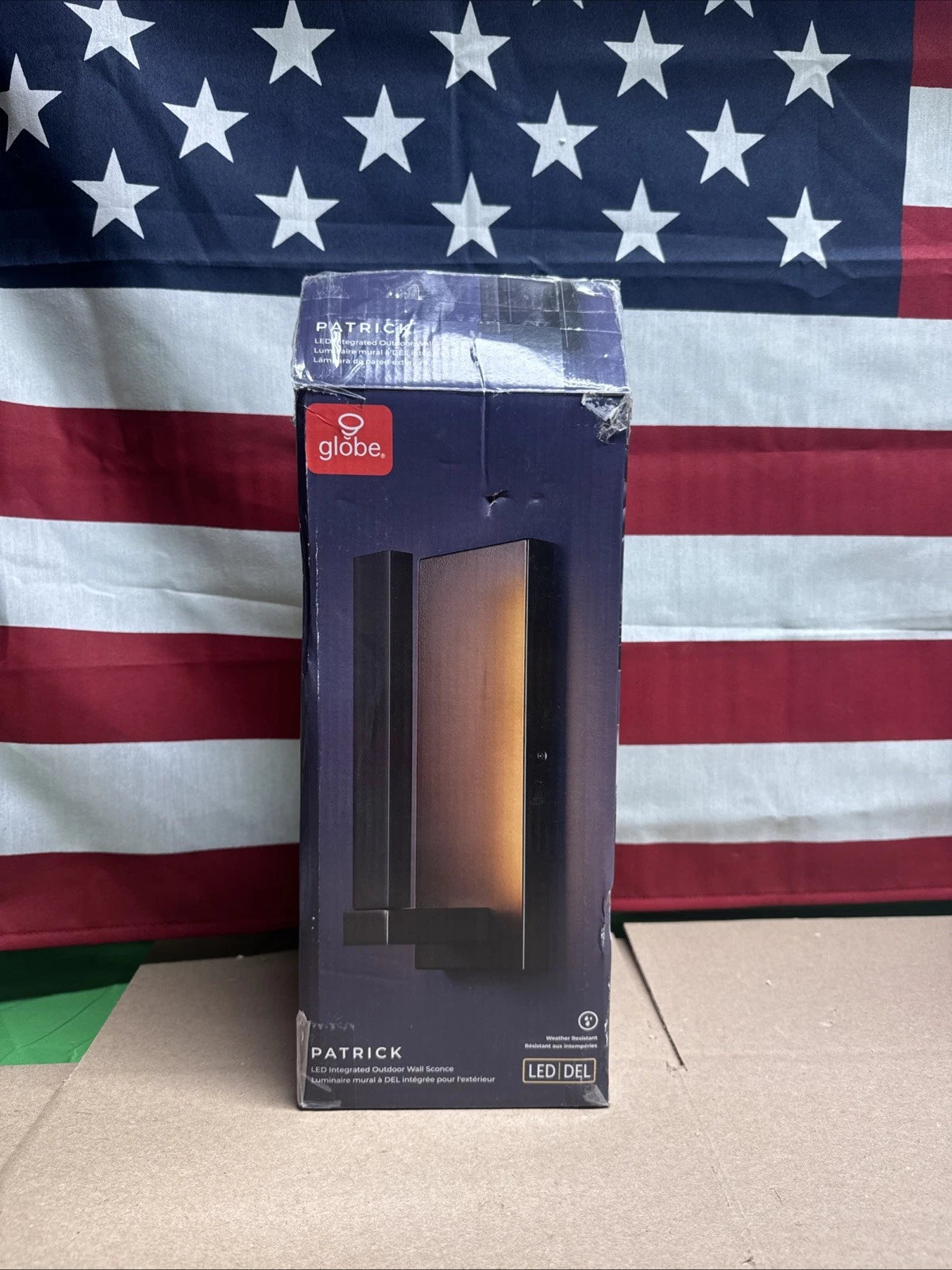 Electric 60000128 10W Integrated LED Outdoor Wall Sconce, Bronze, Patrick.
