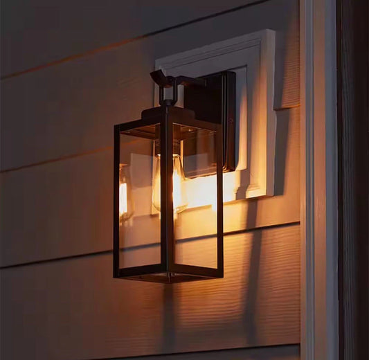 Pia Ricco 1- Light Matte Black Outdoor Wall Lantern Sconce with Clear Glass