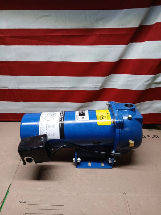 Everbilt 1 HP Professional Convertible Jet Pump *Used* Read Description**