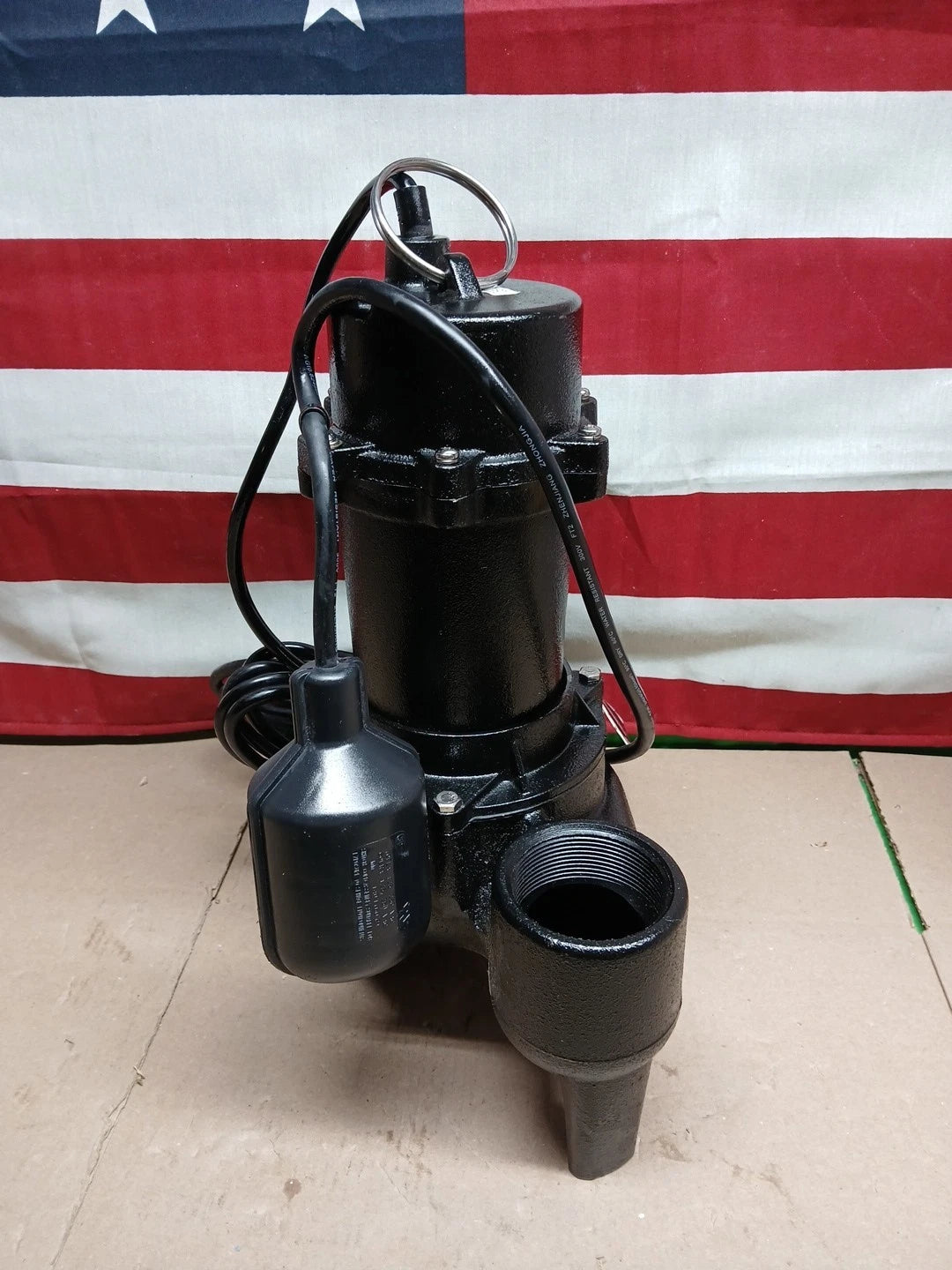 Wayne 1/2 H.P. Cast Iron Sewage Ejector Pump w/Tether Switch RPP50 Wayne RPP50