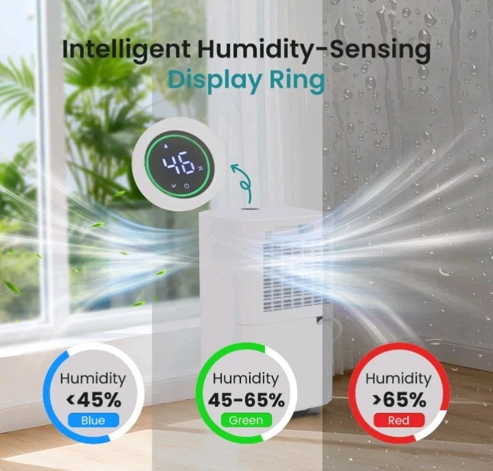30Pints Dehumidifier with Drain Hose, 2,000 Sq.Ft Dehumidifier for Basement, OB
