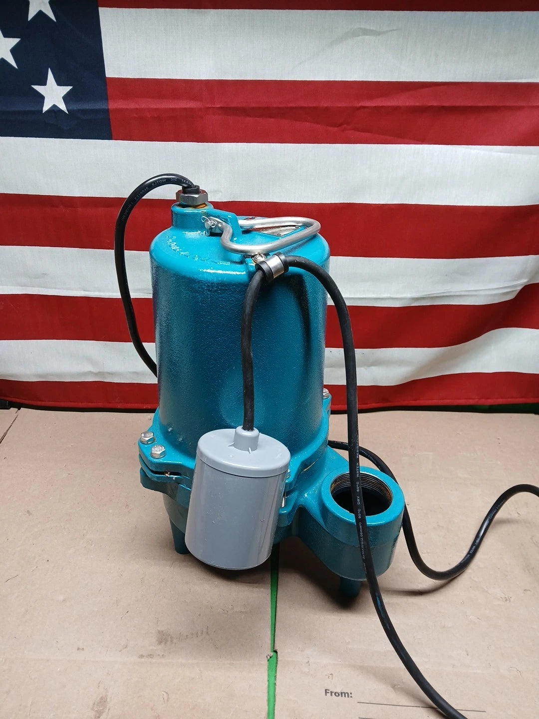 LEO0.4 HP 115-Volt/60HZ Cast Iron Submersible Sewage Pump with Tether