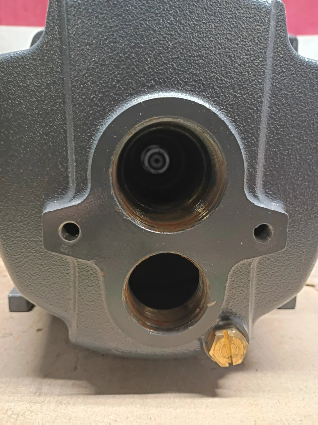 LEO Convertible Jet Well Pump - Leo Pump Model UDPM100-1 FOR PARTS ONLY