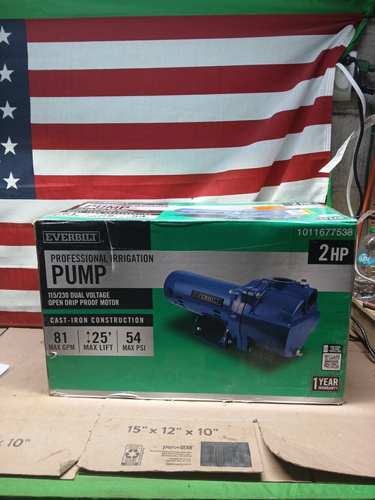 Everbilt 2HP Professional Irrigation Pump Iron 115/230 Dual Voltage FOR PARTS