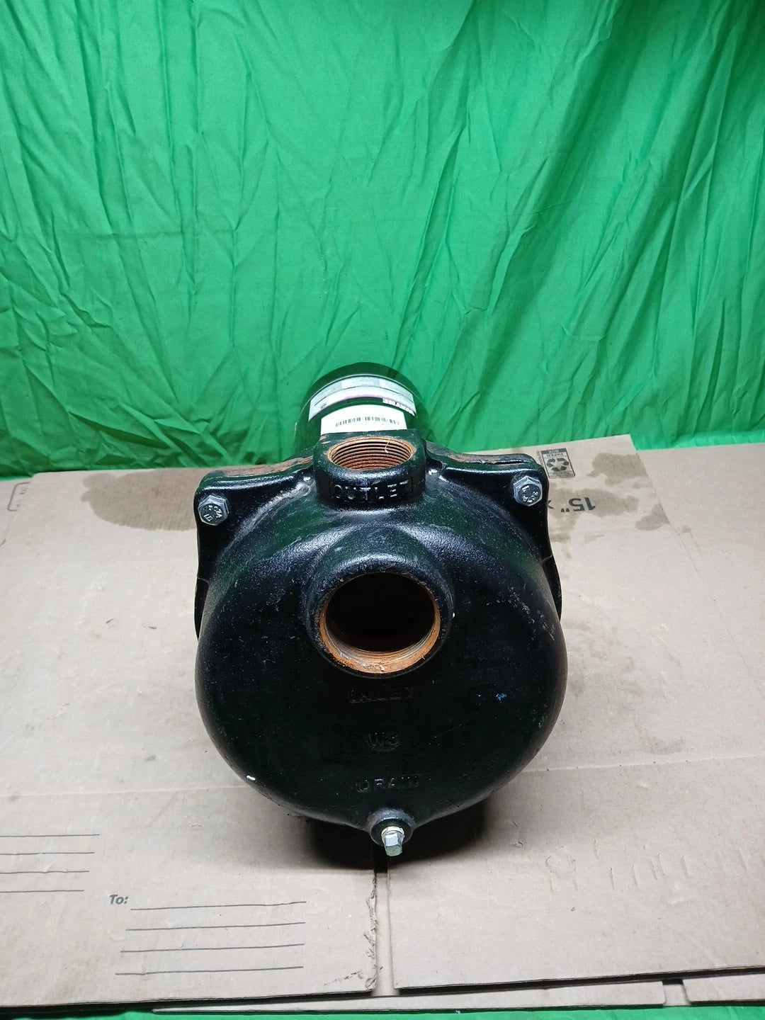 Wayne 1-1/2 HP Cast Iron Quick-Prime Lawn-Sprinkler Pump-