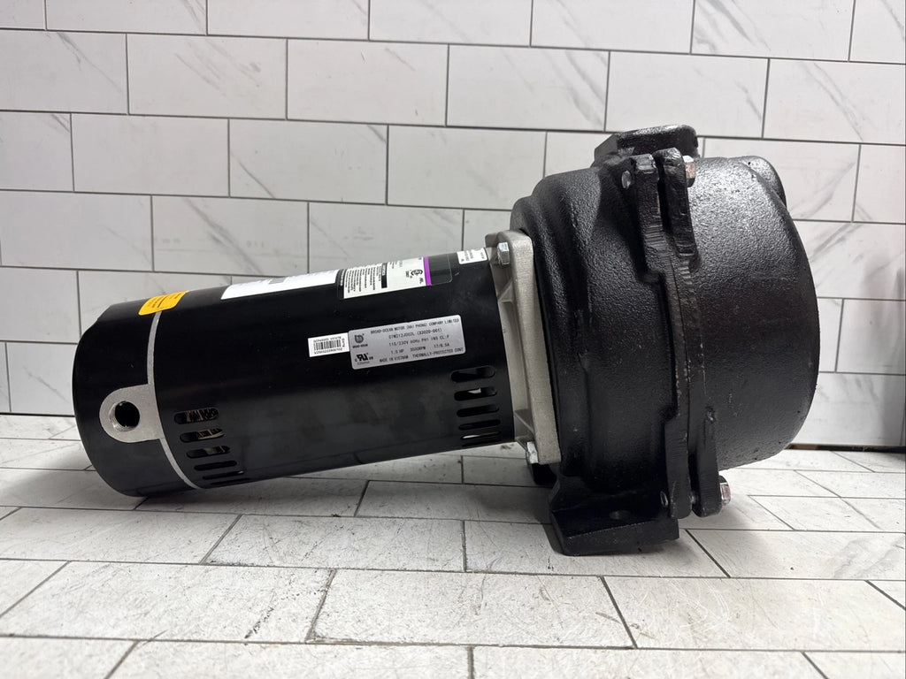 Wayne WLS150 1-1/2 HP Cast Iron Quick-Prime Lawn-irrigation Sprinkler Pump. NOB