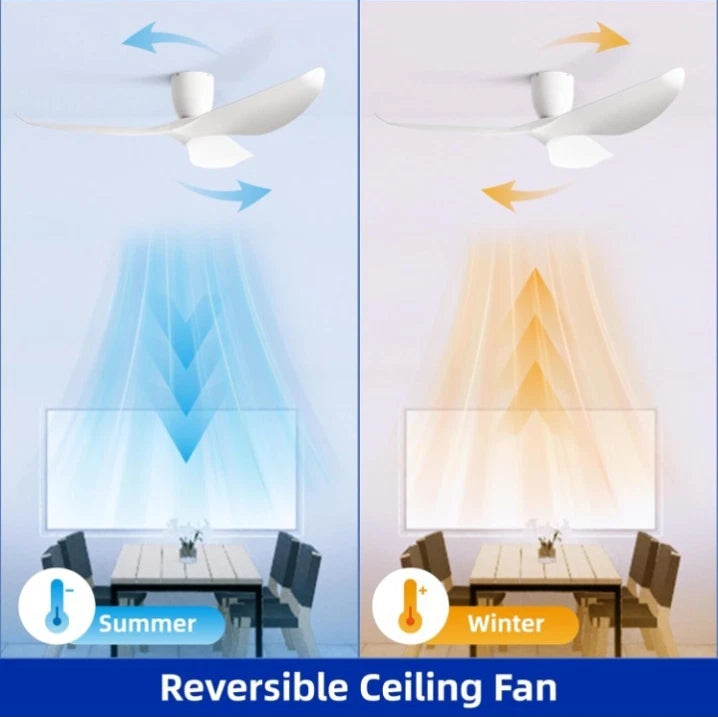 60-Inch Ceiling Fan Without Light, Modern Low-Profile Flush Mount Fan with...