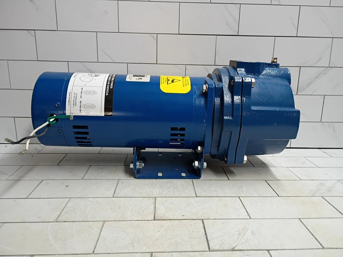 Everbilt Professional Irrigation Pump Cast Iron 2 HP Dual Voltage, HDLS20 PARTS