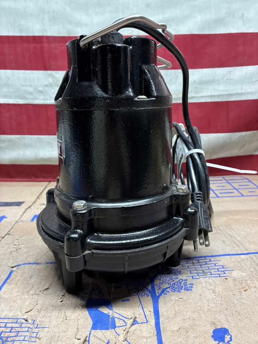 Everbilt HDS30 1/3 HP Cast Iron Submersible Sump Pump USED GOOD CONDITION