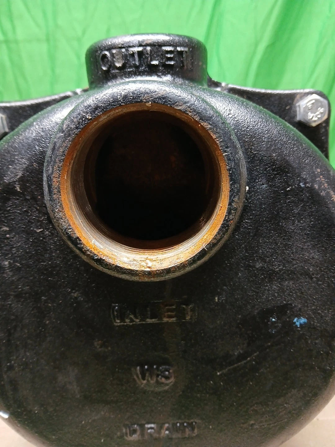 Wayne 1-1/2 HP Cast Iron Quick-Prime Lawn-Sprinkler Pump-