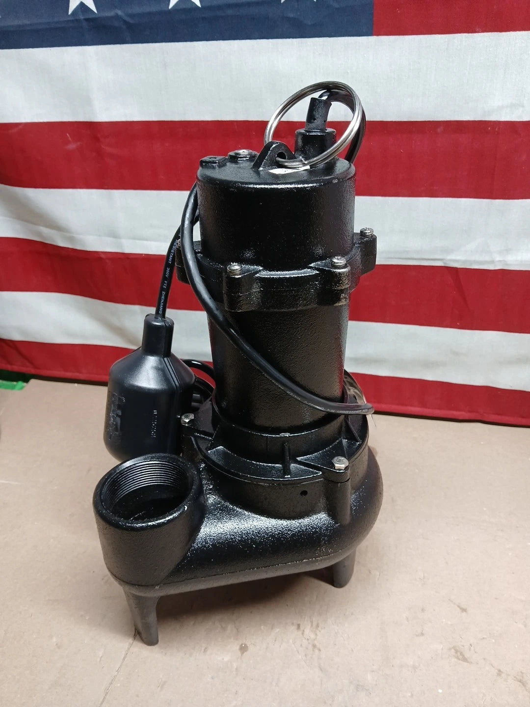 Wayne 1/2 H.P. Cast Iron Sewage Ejector Pump w/Tether Switch RPP50 Wayne RPP50