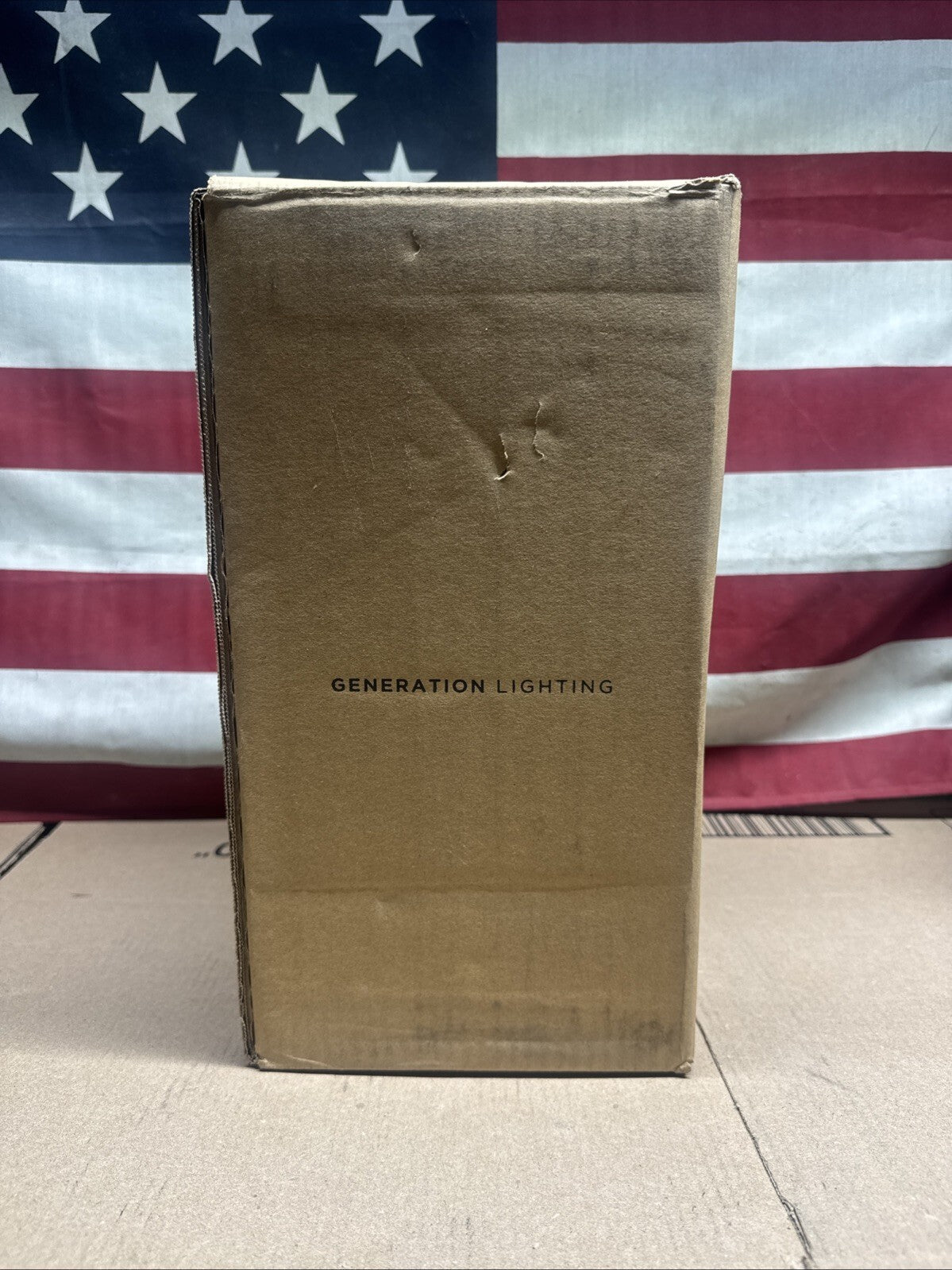 Sea Gull Lighting 8560701-12 Flood Light Outdoor Wall Light Black SCONCE 12.25"