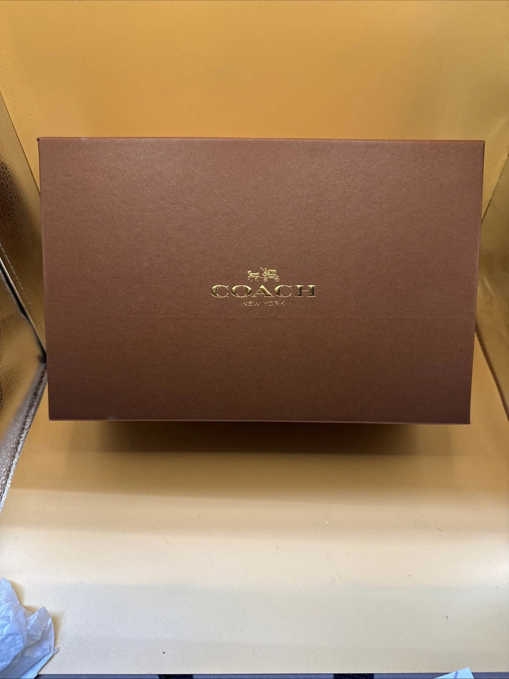 Coach New York Ingrid Natural Snake Print Sandals Size 7M Women's New With Box!