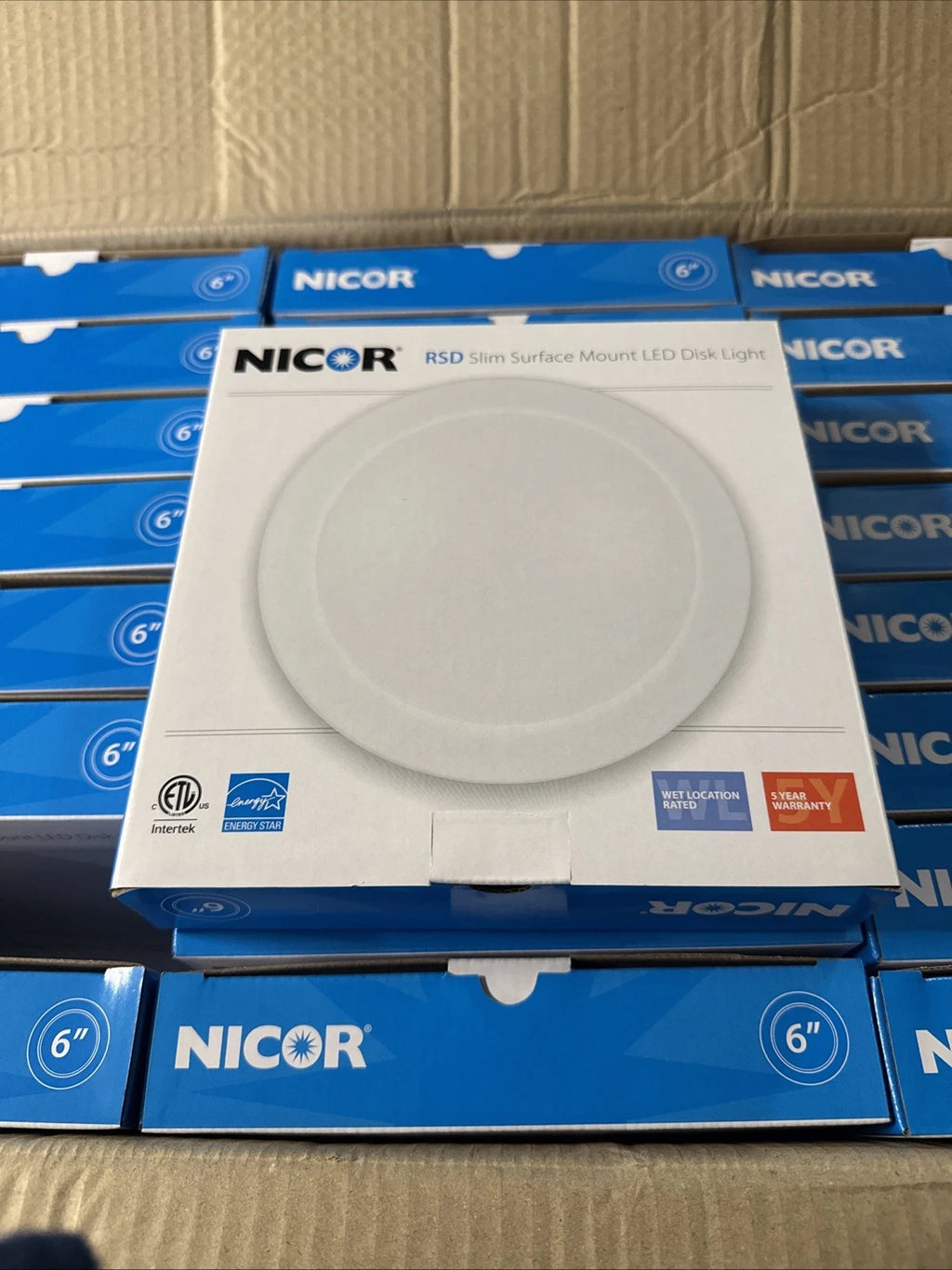 (24-Pack) NICOR RSD 6 in. White Integrated LED Flush Mount Downlight, 2700K