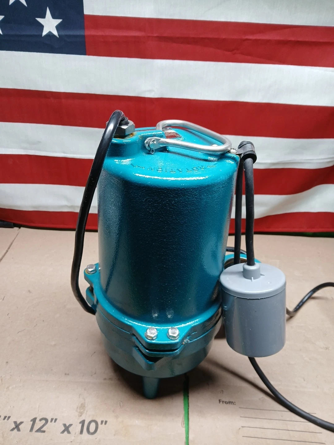 LEO0.4 HP 115-Volt/60HZ Cast Iron Submersible Sewage Pump with Tether