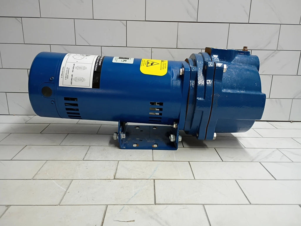 Everbilt Professional Irrigation Pump Cast Iron 2 HP Dual Voltage, HDLS20 PARTS
