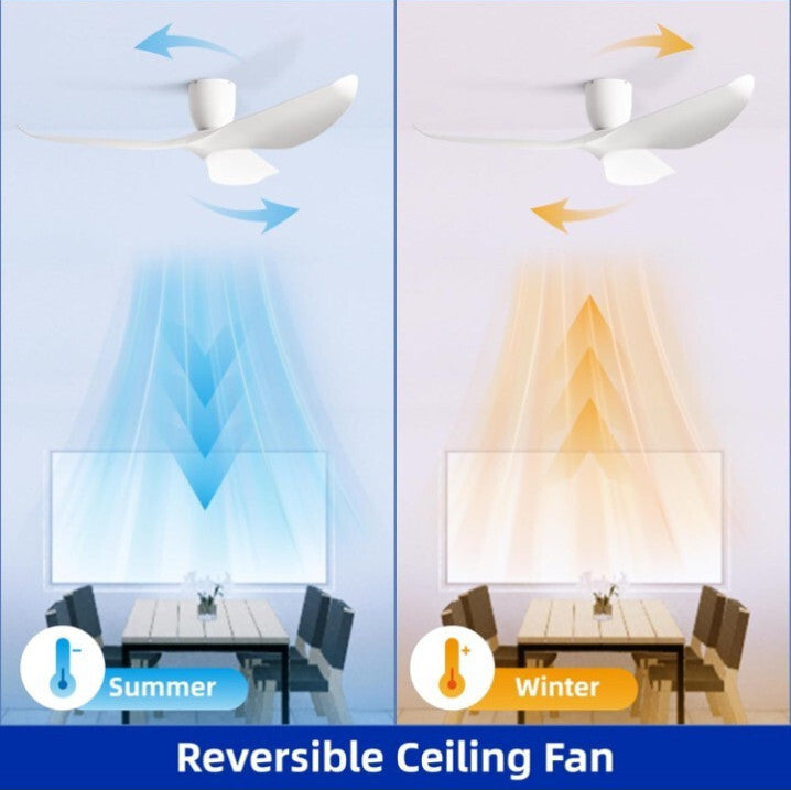 60-Inch Ceiling Fan Without Light, Modern Low-Profile Flush Mount Fan with...