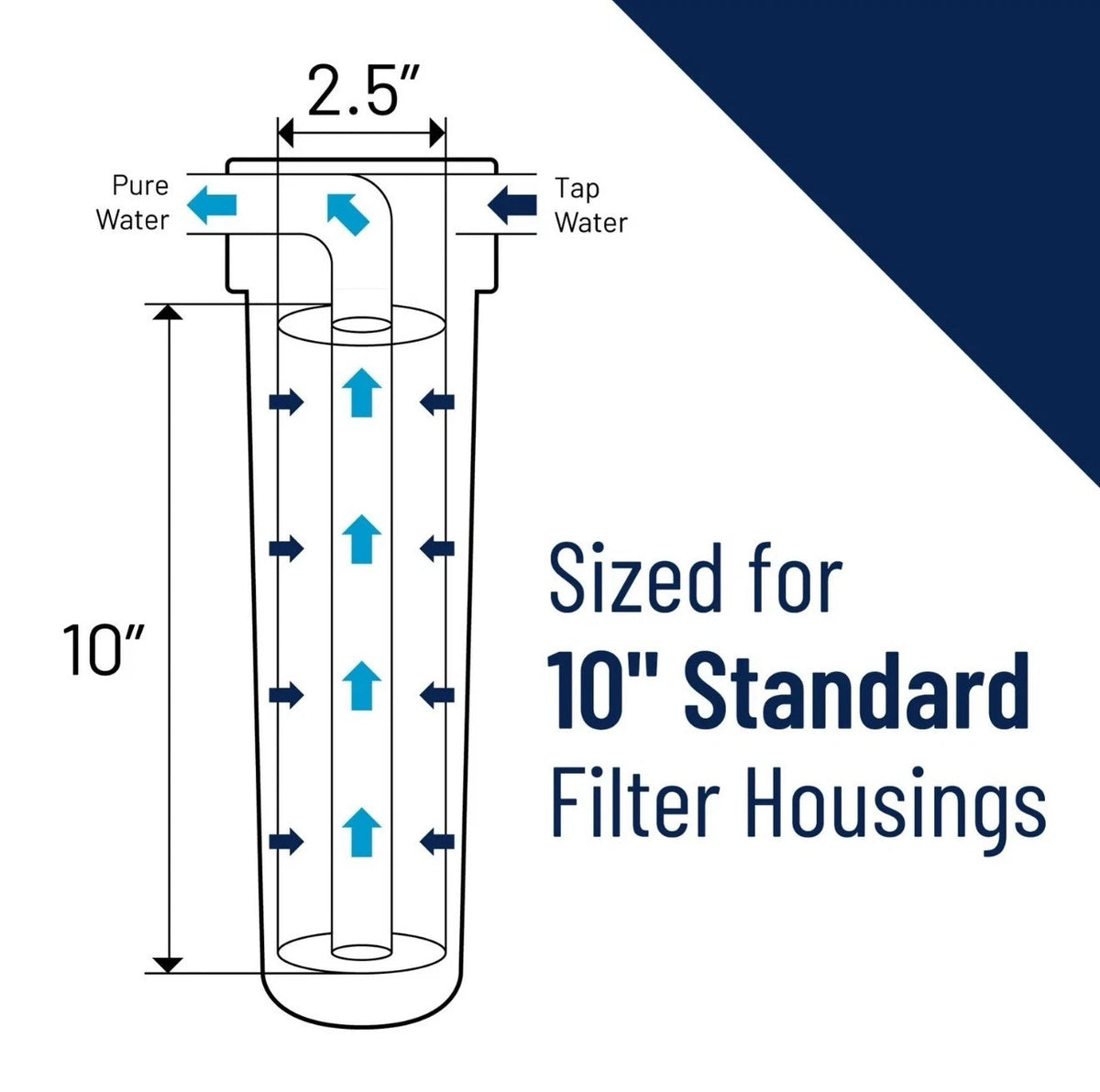Pentair WH5 Filter Housing, 10" Standard Clear Sump Water Filter Housing with...