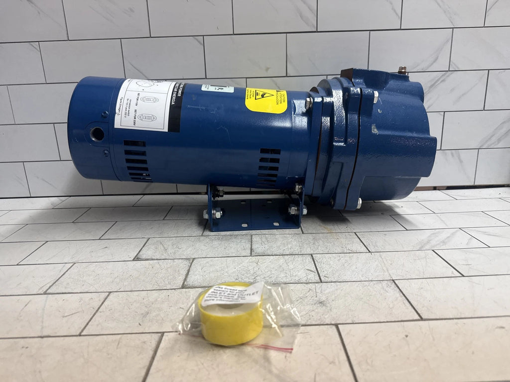 Everbilt Professional Irrigation Pump Cast Iron 2 HP Dual Voltage, HDLS20 PARTS