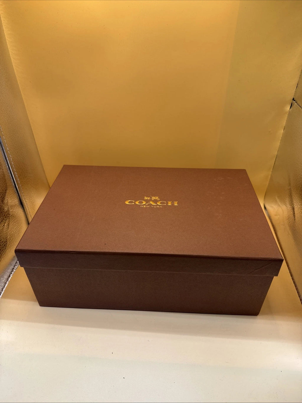 Coach New York Ingrid Natural Snake Print Sandals Size 7M Women's New With Box!