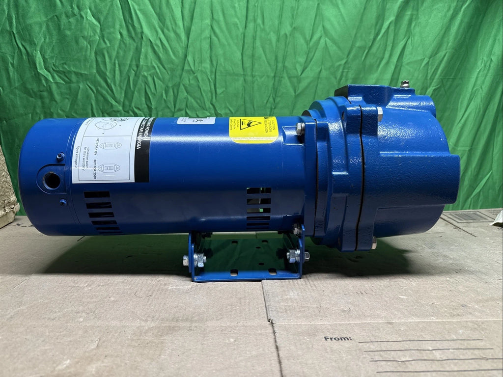 Everbilt Professional Irrigation Pump Cast Iron 2 HP Dual Voltage, HDLS20 PARTS