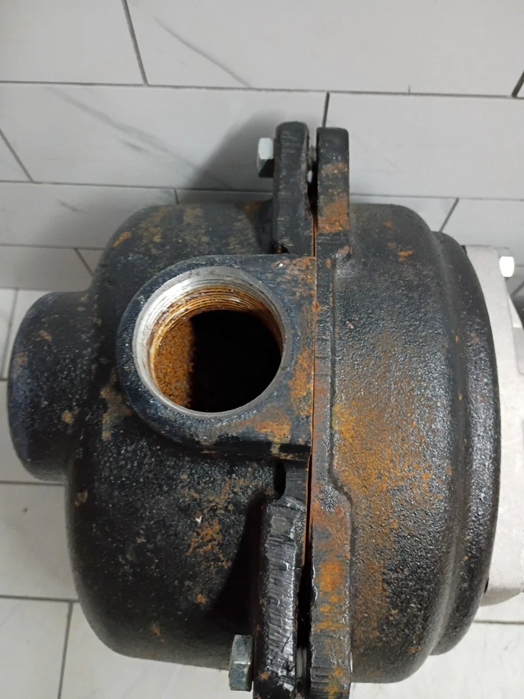 Wayne WLS150 1-1/2HP 230V Cast iron Lawn Irrigation Sprinkler pump FOR PARTS ONL