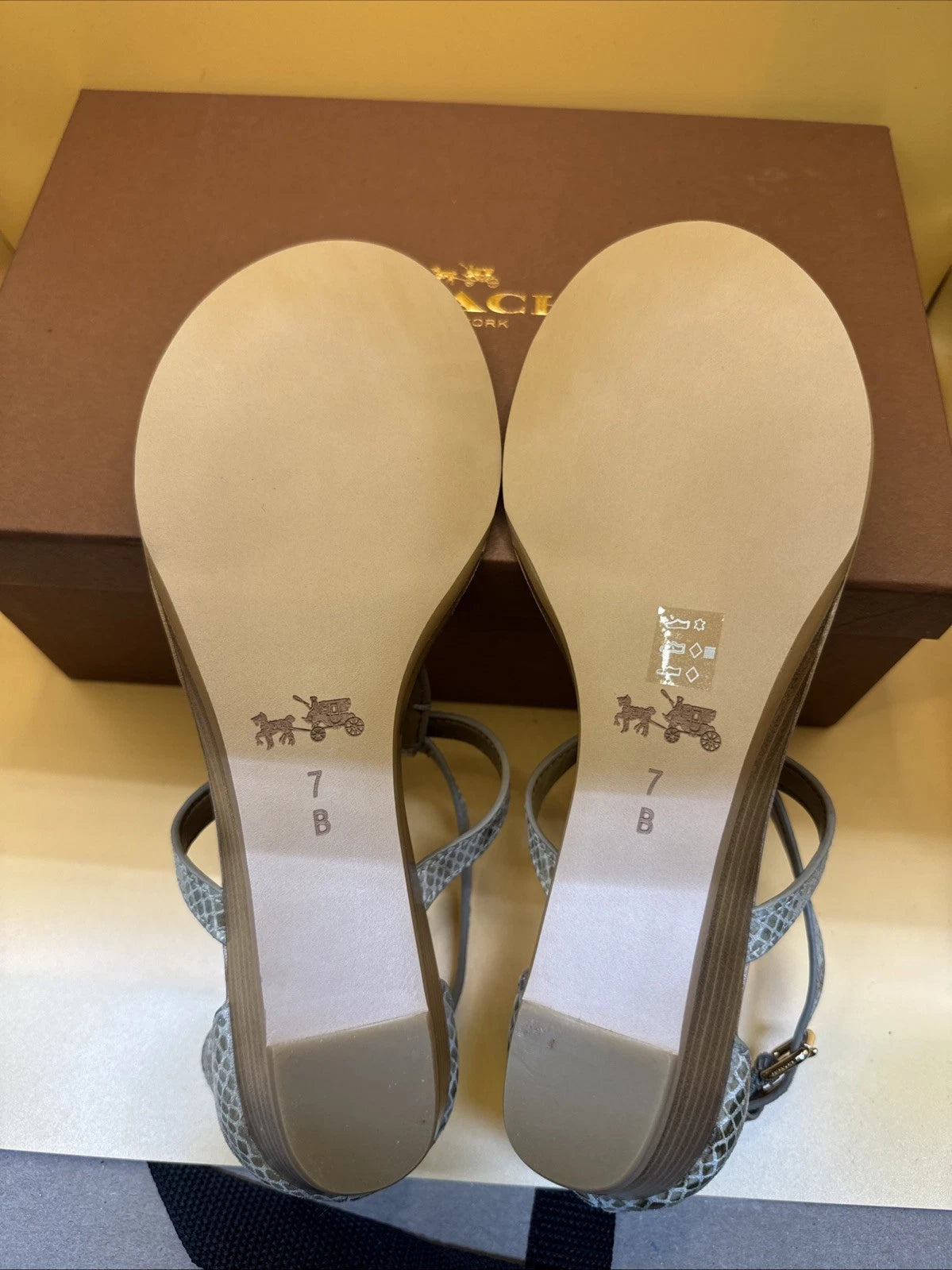 Coach New York Ingrid Natural Snake Print Sandals Size 7M Women's New With Box!